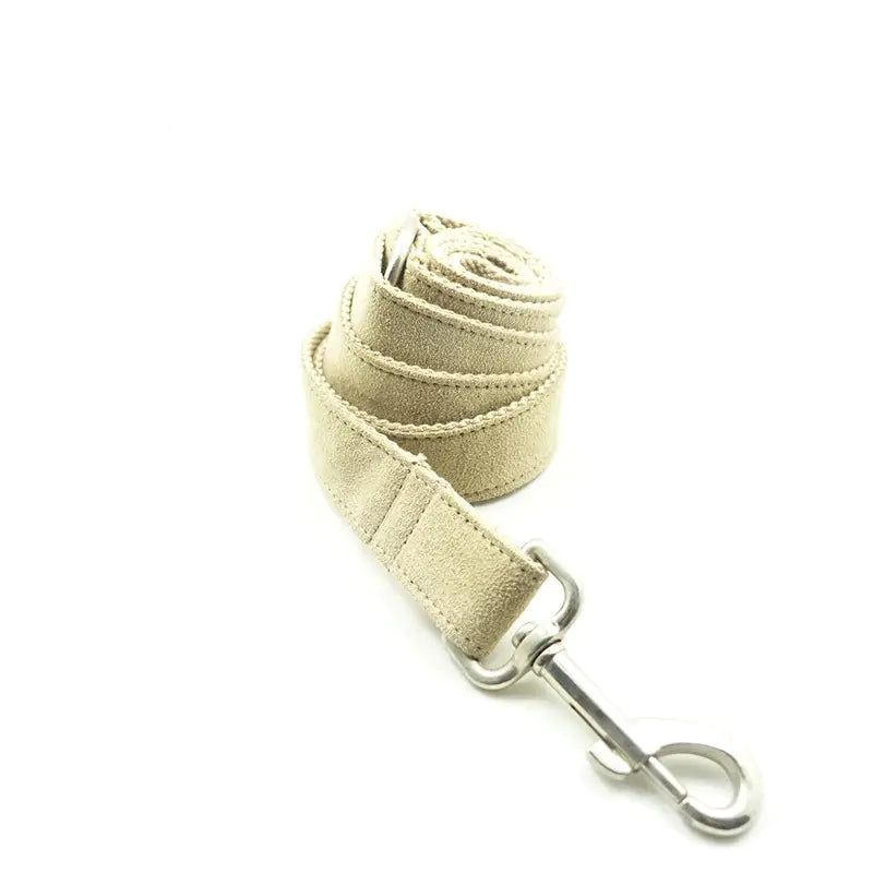 Creative Teddy Dog Leash - Eco-Friendly Pet Supplies