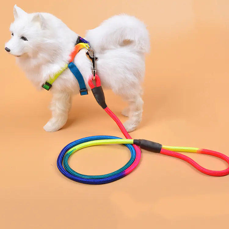 Colorful Nylon Round Dog Rope for Pet Supplies