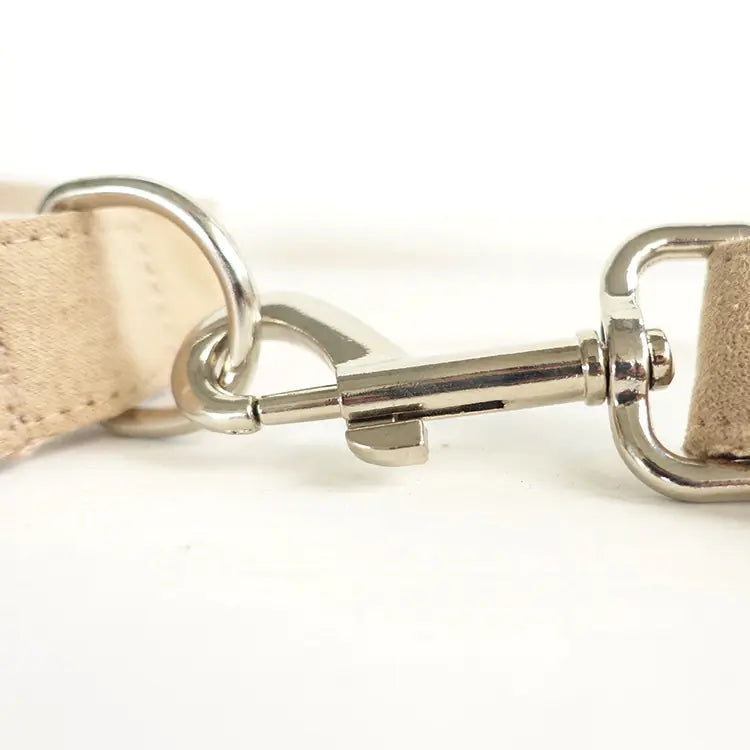 Creative Teddy Dog Leash - Eco-Friendly Pet Supplies