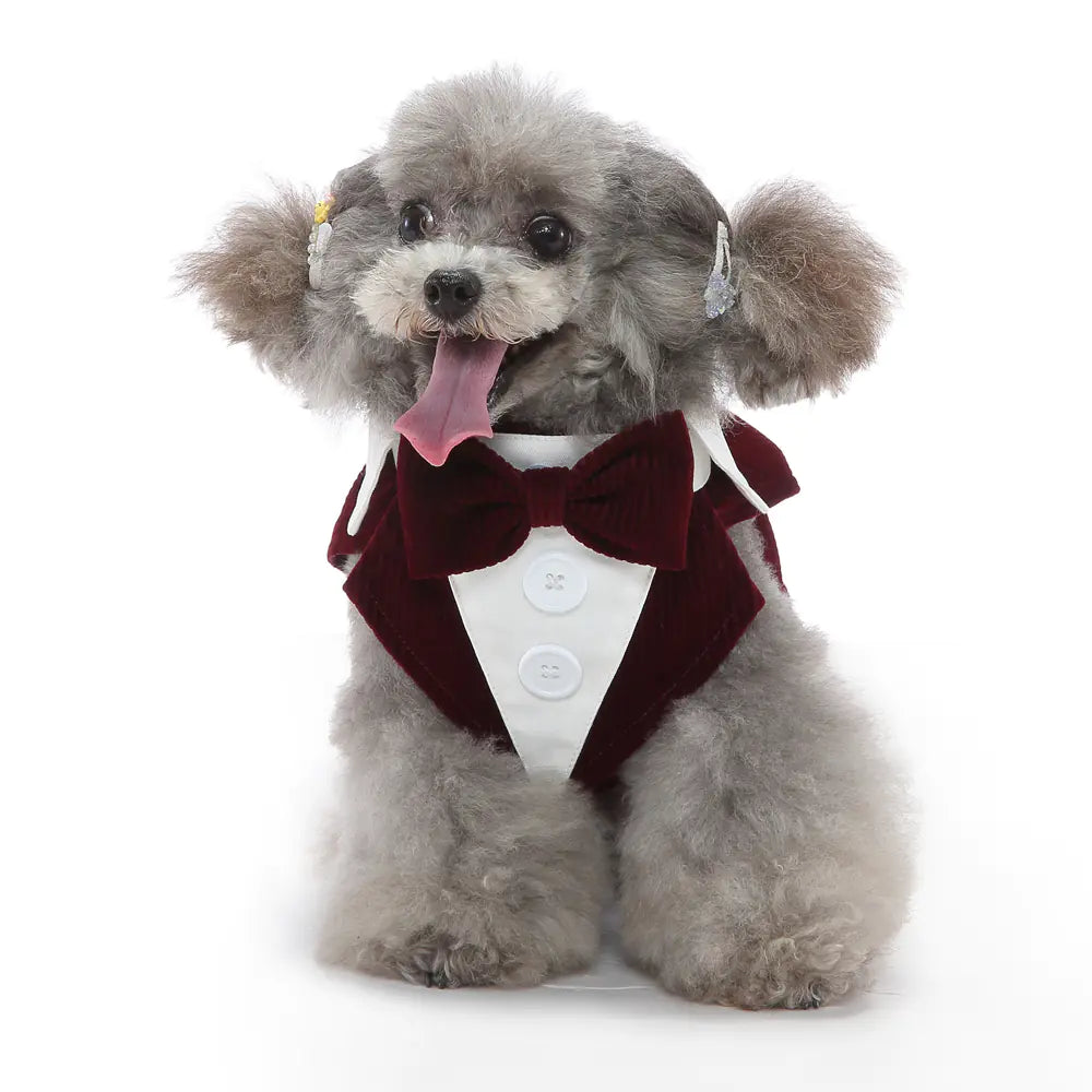 Dog Tuxedo Dress for Pet Supplies and Clothing